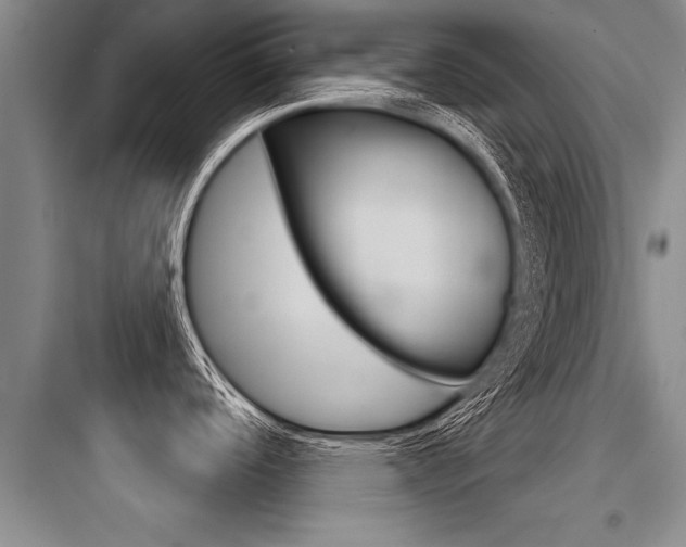 X0000097951488200803241007