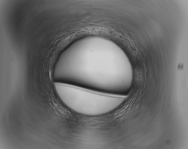 X0000097951489200803241006
