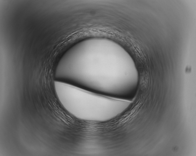 X0000097951490200803241006