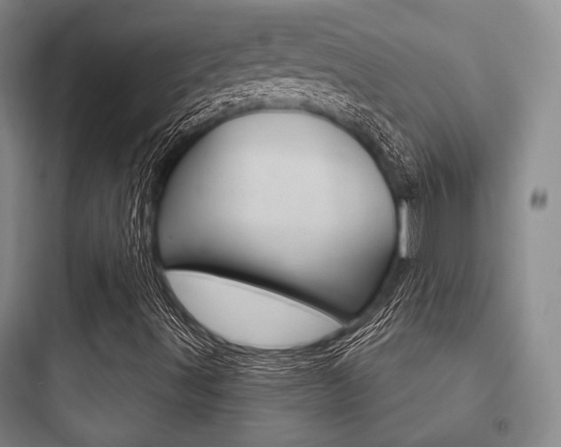 X0000097951491200803241006