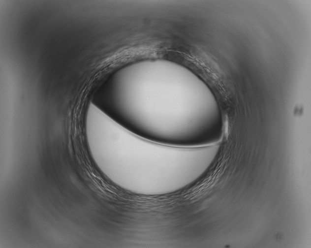 X0000097951492200803241006