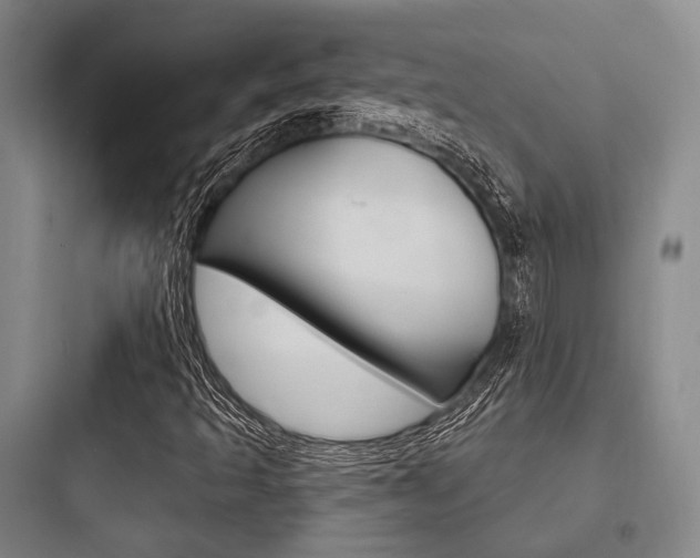 X0000097951493200803241006