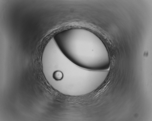 X0000097951494200803241006