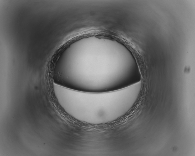 X0000097951496200803241006