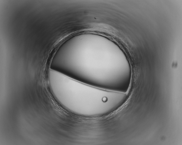 X0000097951497200803241006