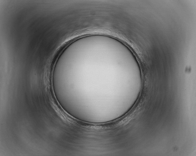 X0000097951499200803241006