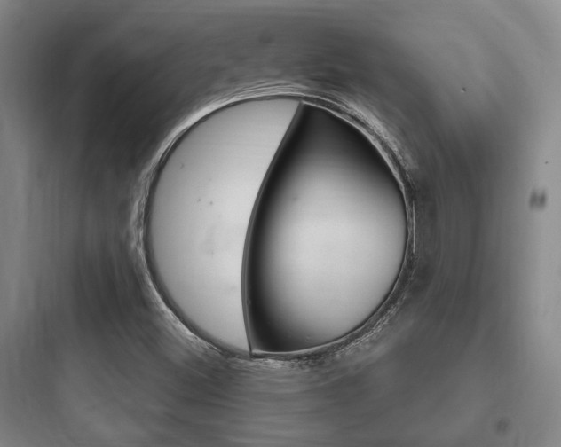 X0000097951500200803241007