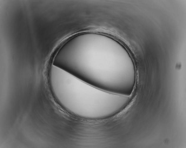 X0000097951501200803241007