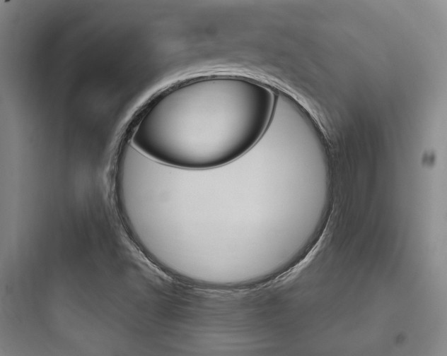X0000097951502200803241007