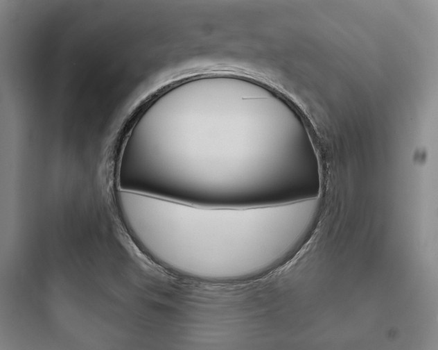 X0000097951503200803241007