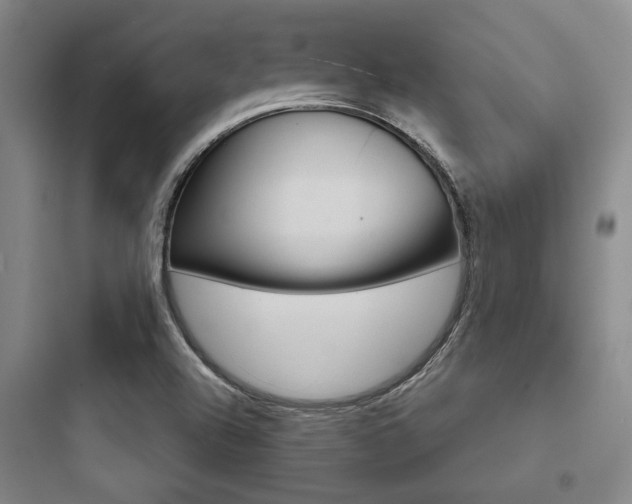 X0000097951504200803241007