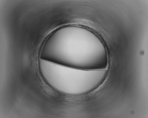 X0000097951505200803241007