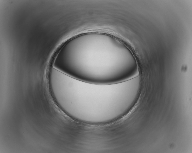 X0000097951506200803241007