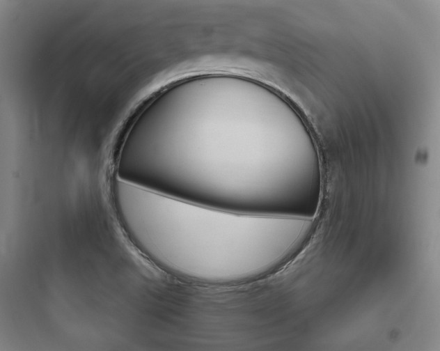 X0000097951507200803241007