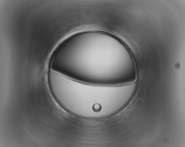 X0000097951508200803241007
