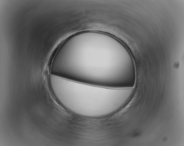 X0000097951509200803241007