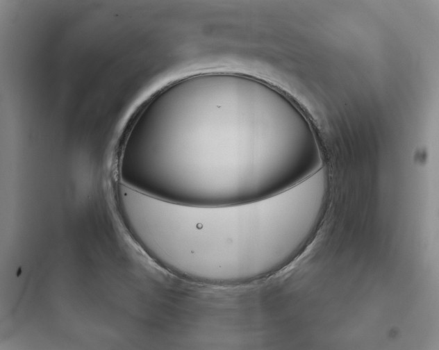 X0000097951510200803241007