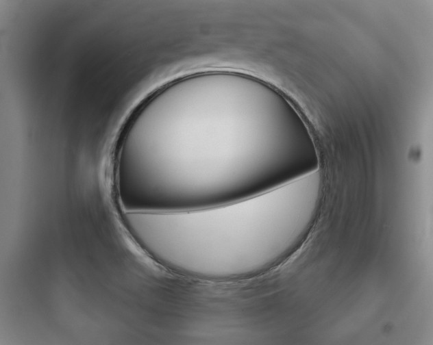 X0000097951511200803241007