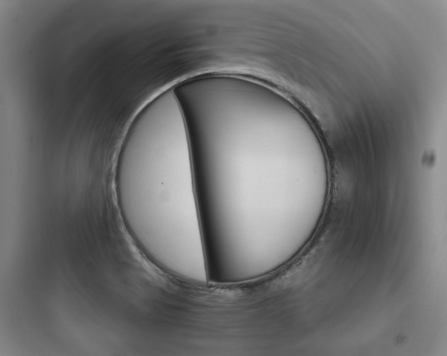 X0000097951513200803241007
