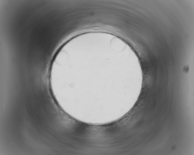 X0000097951514200803241007
