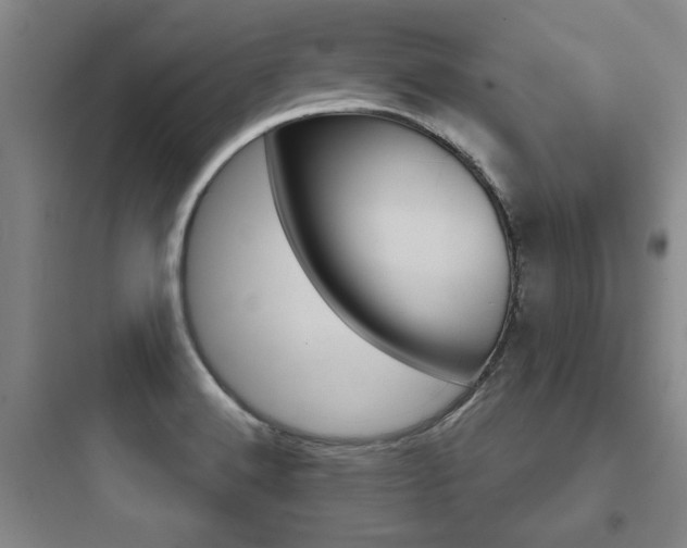 X0000097951516200803241007