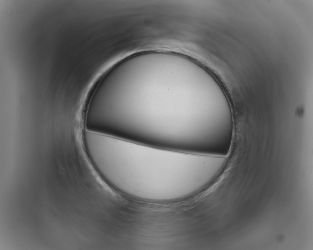 X0000097951517200803241007