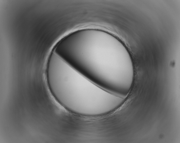 X0000097951518200803241007