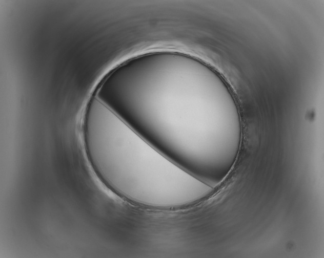 X0000097951519200803241007