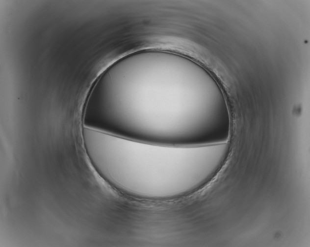 X0000097951521200803241007