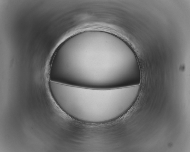 X0000097951522200803241007