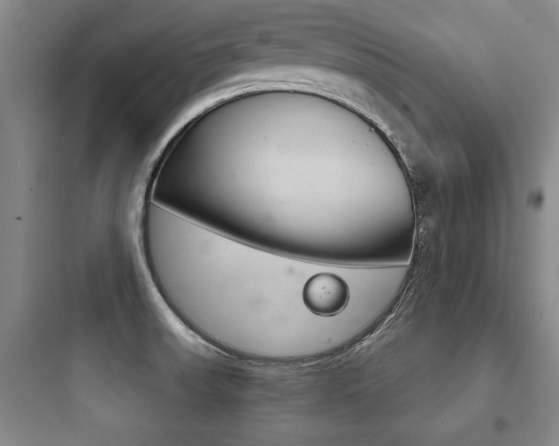 X0000097951523200803241007