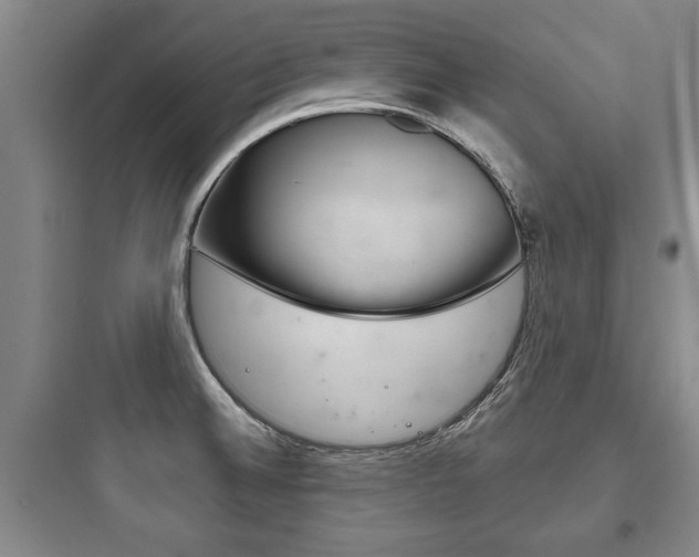 X0000097951524200803241007