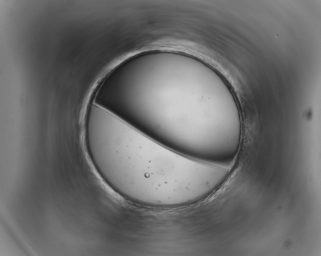 X0000097951525200803241007