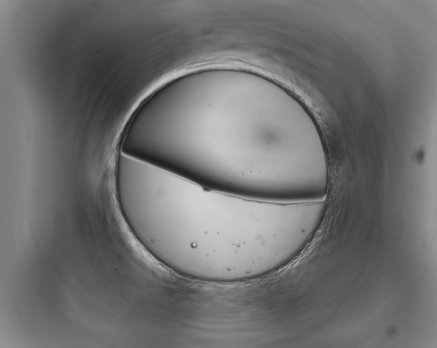 X0000097951526200803241007