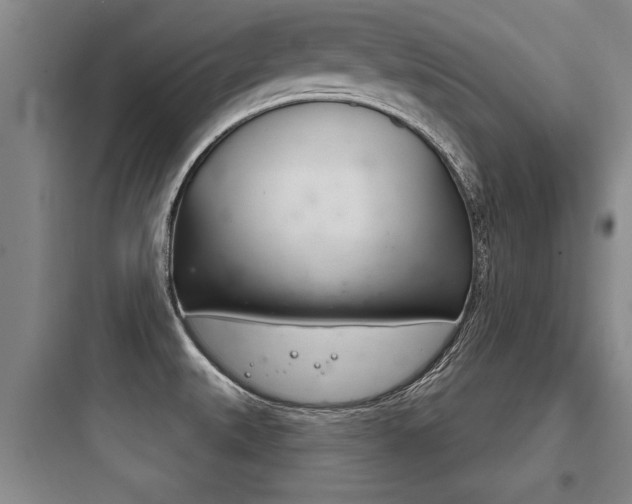 X0000097951527200803241007