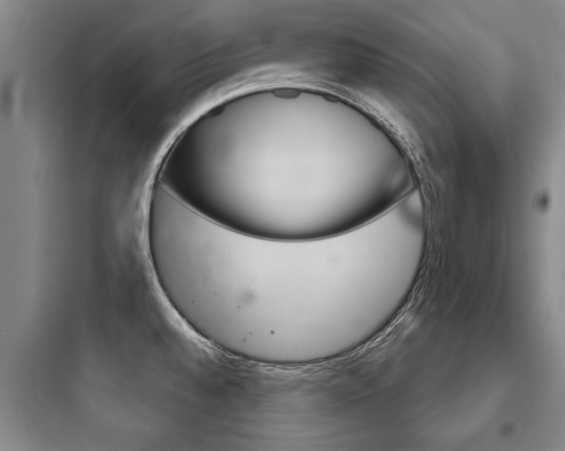 X0000097951528200803241007