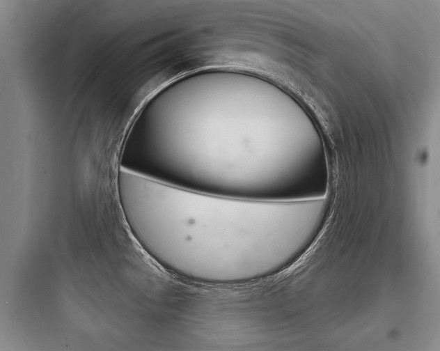 X0000097951529200803241007