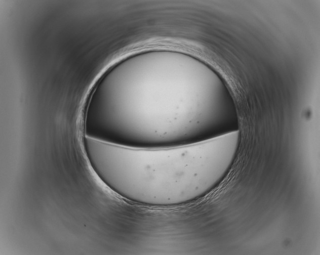 X0000097951531200803241007
