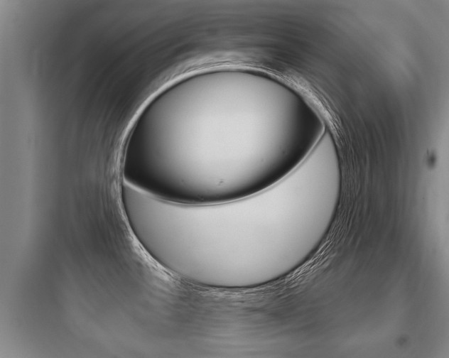 X0000097951532200803241007