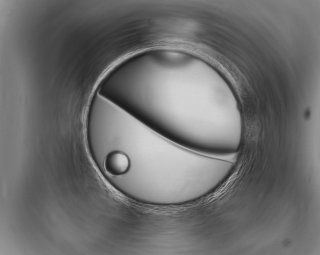 X0000097951533200803241007