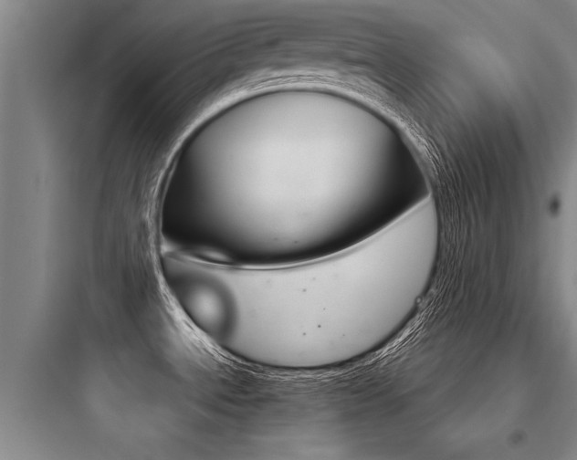 X0000097951534200803241007