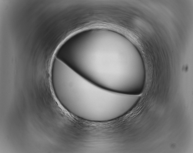 X0000097951536200803241007