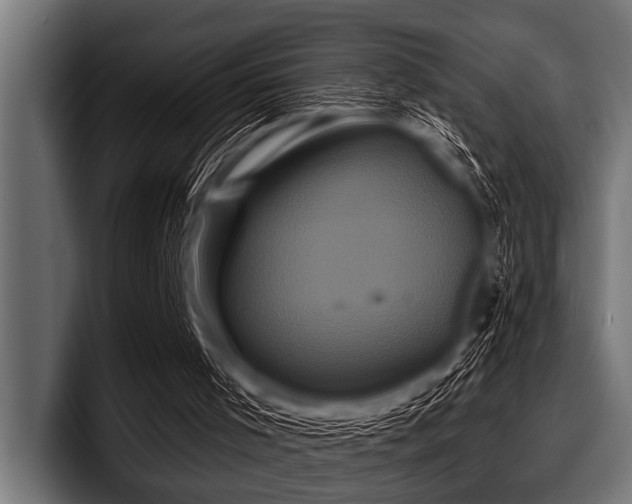 X0000097950001200803241203