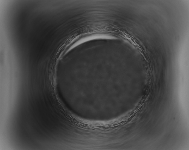 X0000097950002200803241203