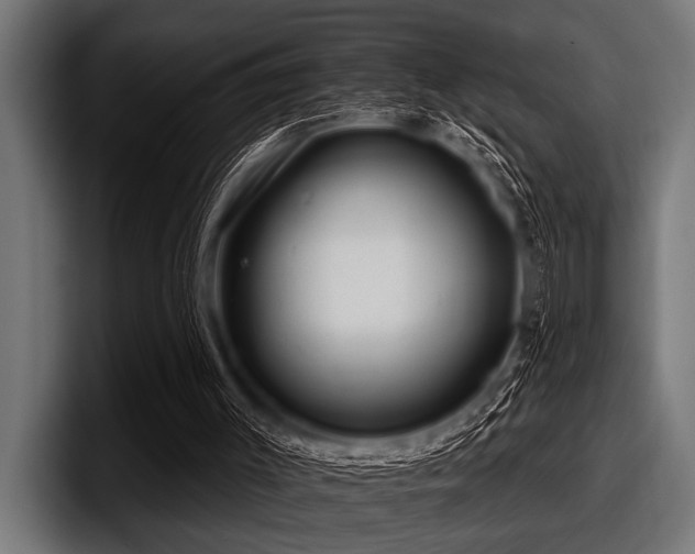 X0000097950003200803241203