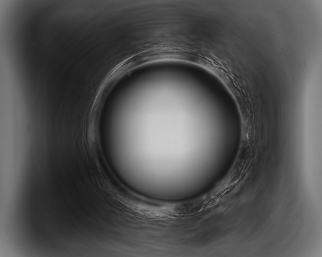 X0000097950004200803241203