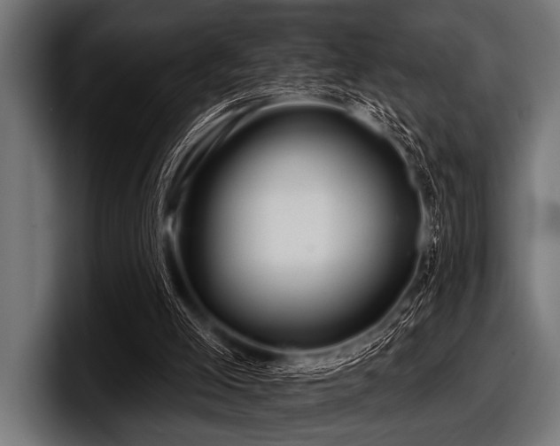X0000097950005200803241203
