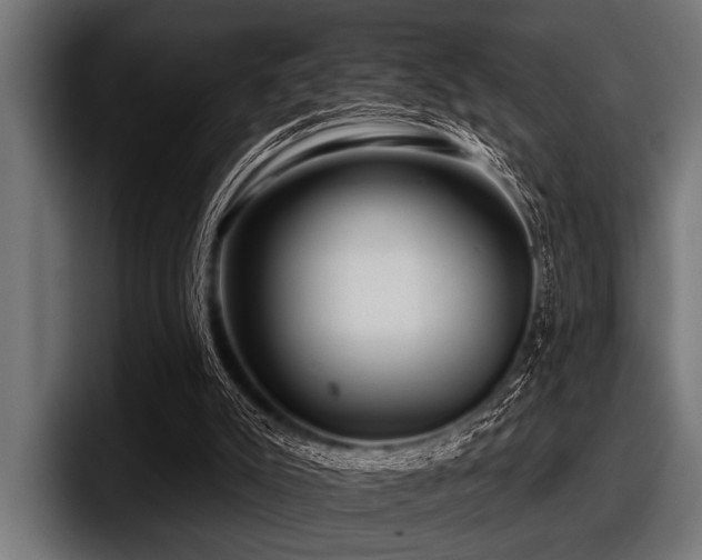 X0000097950007200803241203