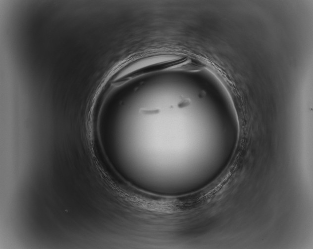 X0000097950008200803241203