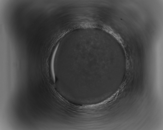 X0000097950009200803241203